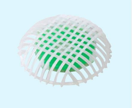 デオテクレギュラー